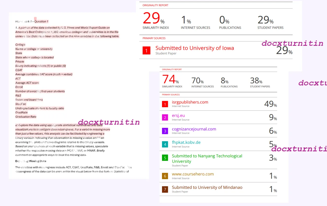 Turnitin Similarity Report